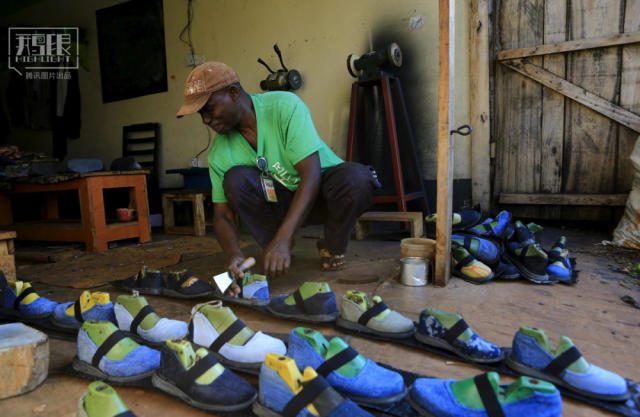 鹅眼恐怖的非洲沙蚤病
