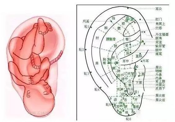 艾灸这里10分钟等于做一次全身中医推拿一定要学会