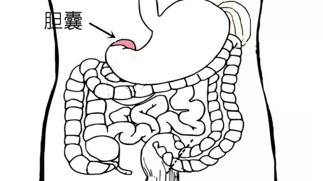 医生说这几种肚子疼格外危险!