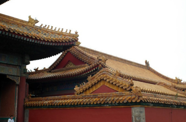 故宫屋顶为什么没有鸟屎?知道真相后不得不佩