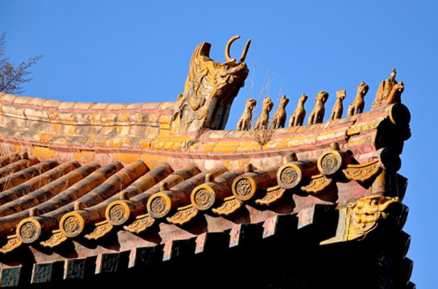 故宫屋顶为什么没有鸟屎?知道真相后不得不佩