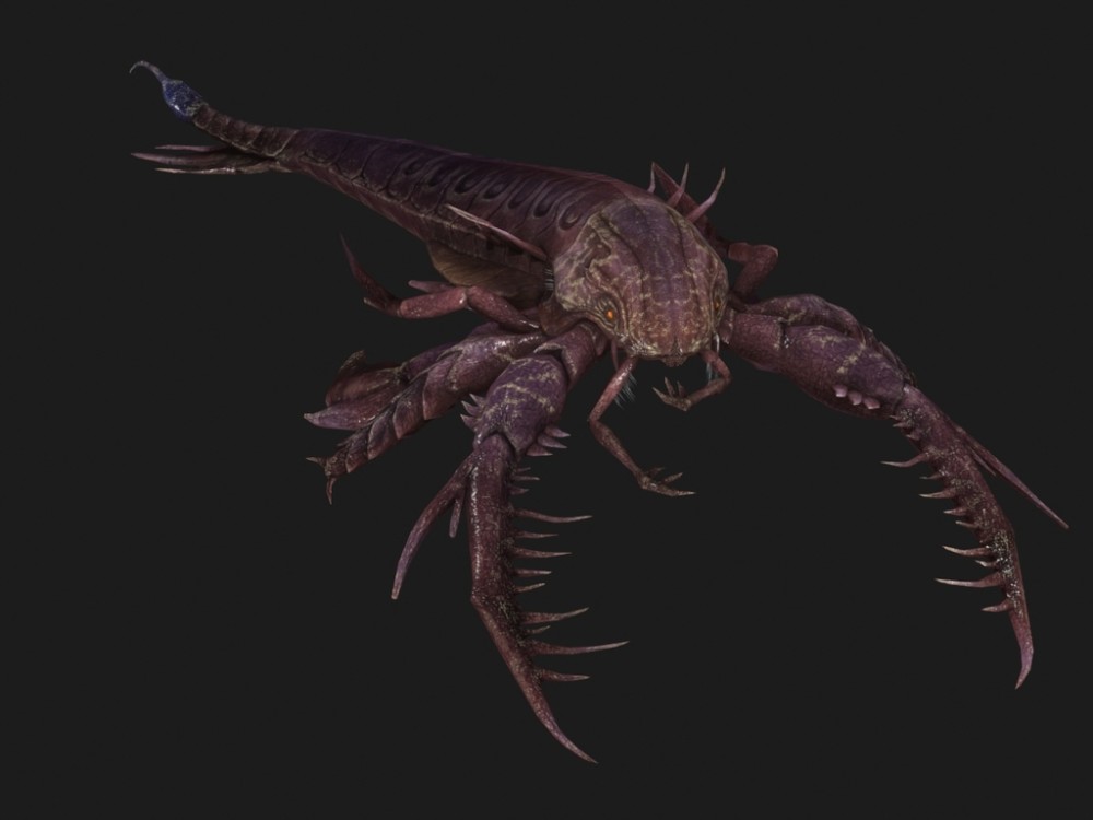 4亿年前的远古巨蝎被发现,体长达2米,性情异常凶猛