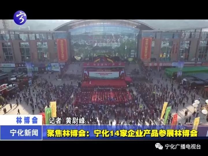 宁化14家企业产品参展林博会!成功签约两个项