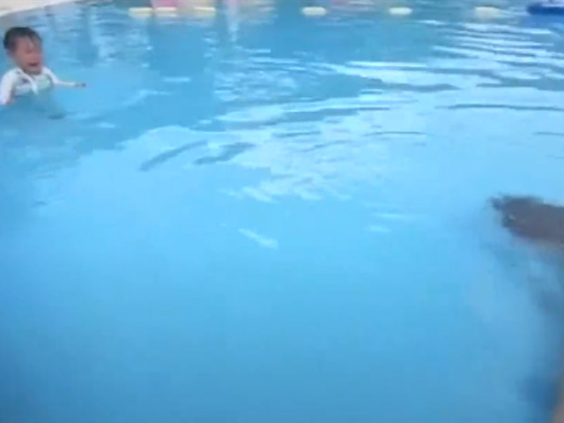 小宝宝连走路都走不稳,看爸爸假装不会游泳后