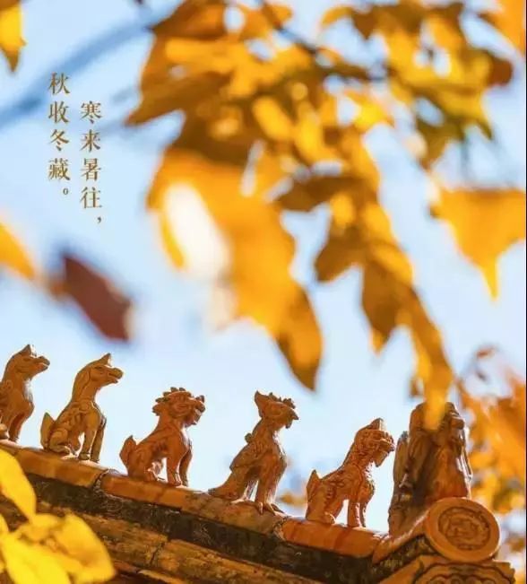 寒来暑往秋收冬藏