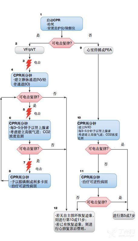 急救科普人解读 肾上腺素到底啥时候用 19年aha更新有答案 腾讯新闻