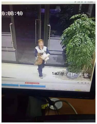 當時女子被打懵了,腦子一片空白,只覺得拳頭和巴掌不斷地落在自己的