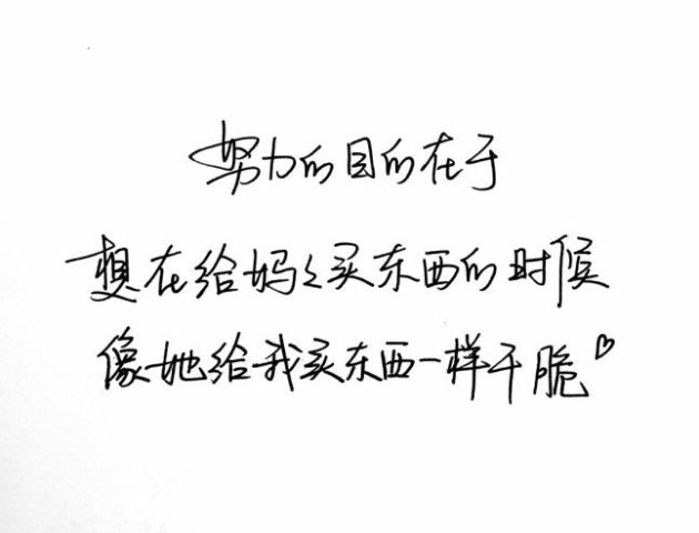 揭秘中药材的功效与奥秘
