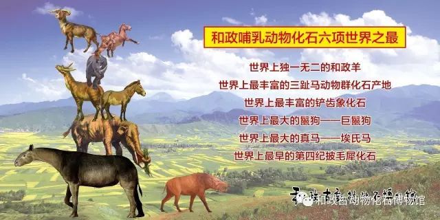 和政古动物化石博物馆——目前是我国唯一一座晚新生代古脊椎古哺乳