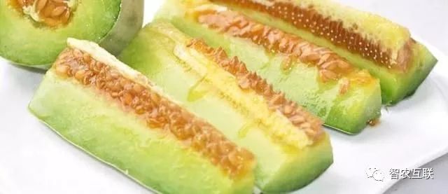 种植玉米不如种它,亩产8000斤的水果你见过吗