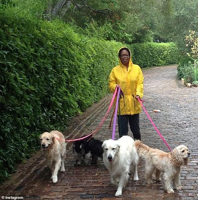 国外保险公司首次推出世界宠物富豪榜:第一名