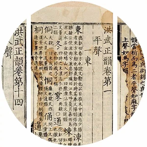 說起蘇東坡，廣東人笑了：「日啖荔枝三百顆」是因為聽不懂方言 歷史 第2張