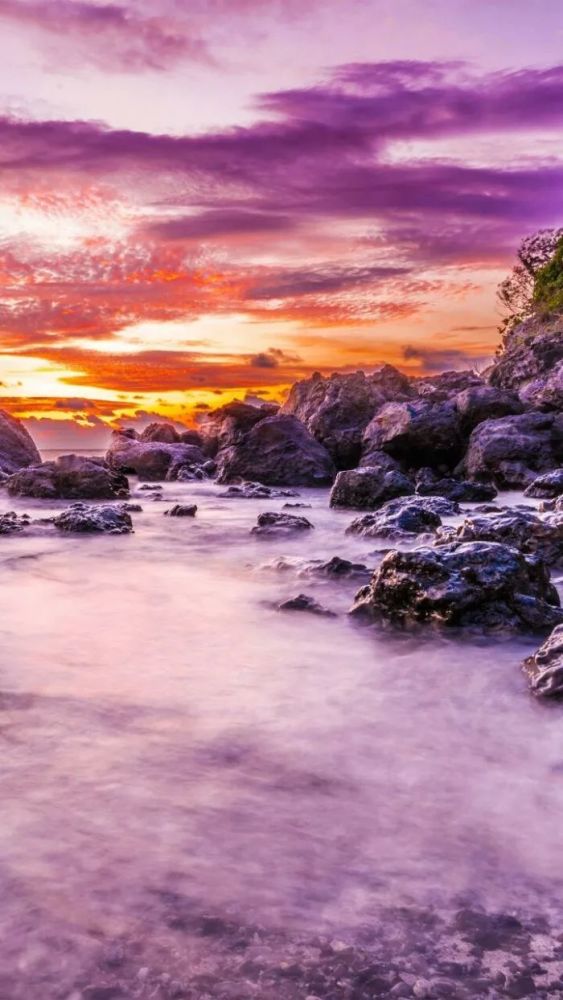 2019中国护照又升值 这些最新免签落地签你可