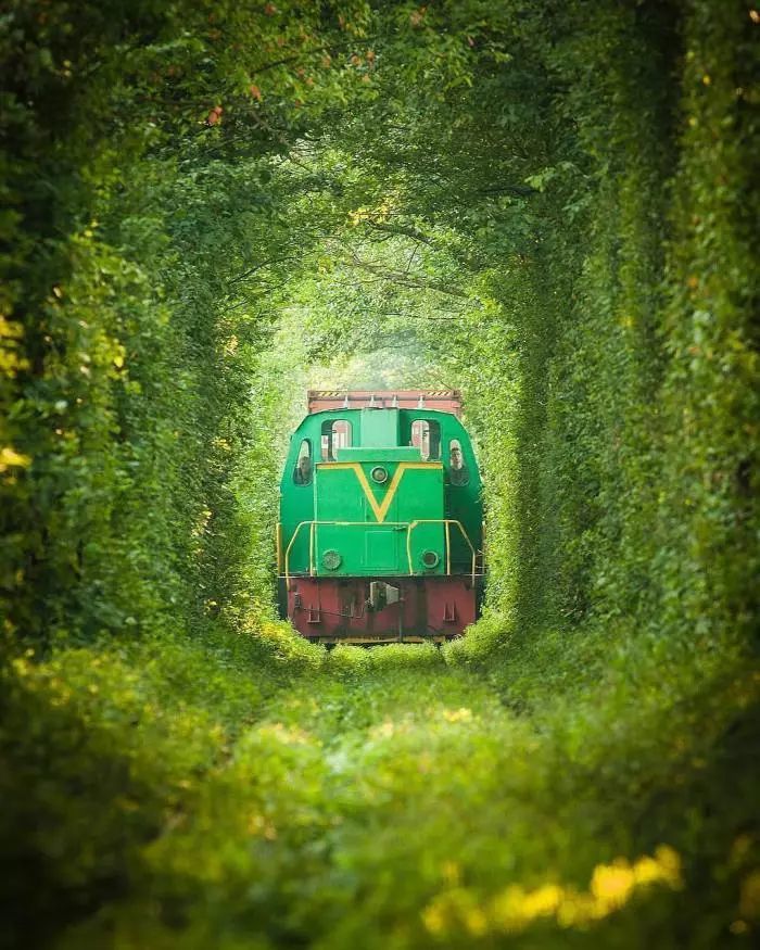 2019中国护照又升值 这些最新免签落地签你可