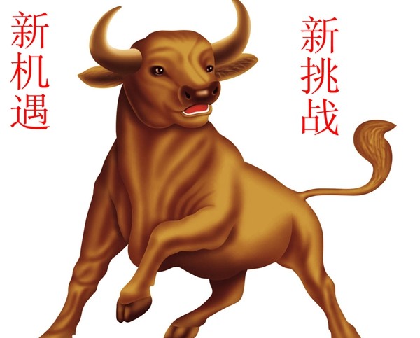 牛转乾坤2021辛丑年不同年龄生肖牛运势策划