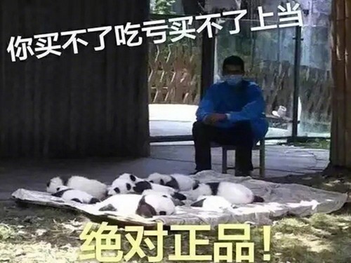 当NFL遇到双11 你能否给你的主队清空购物车