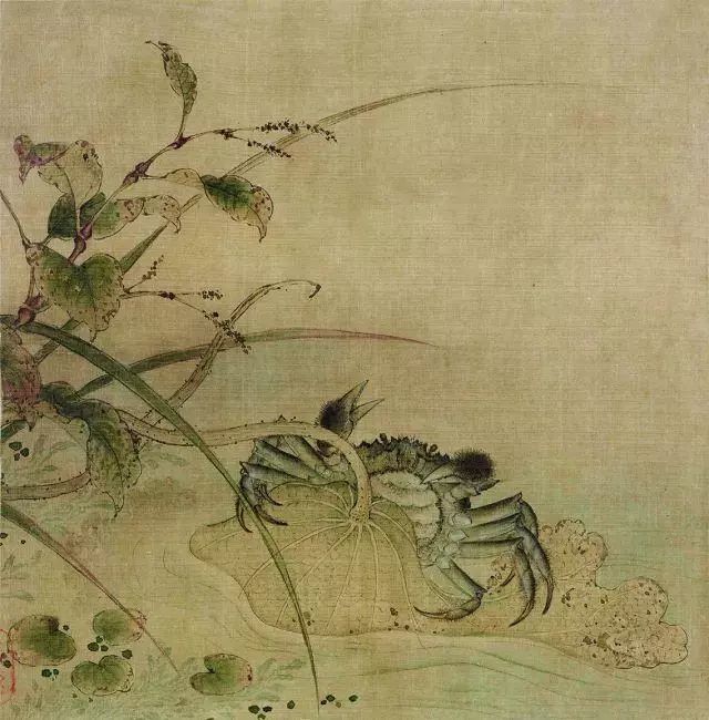 为什么宋画是花鸟画的黄金时代 花鸟画 北京故宫博物院 出水芙蓉图