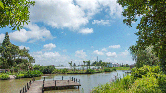 漕涇|上海|郊野公園|金山區|民生