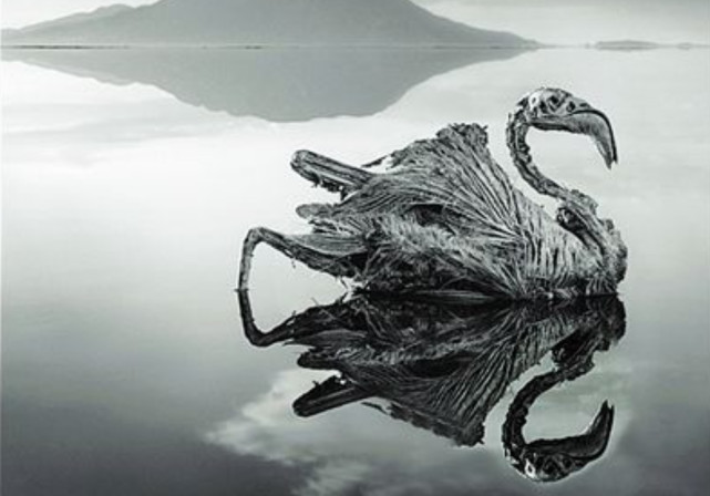 世界真实存在的冥河一旦触摸就会石化难道石化术是真的