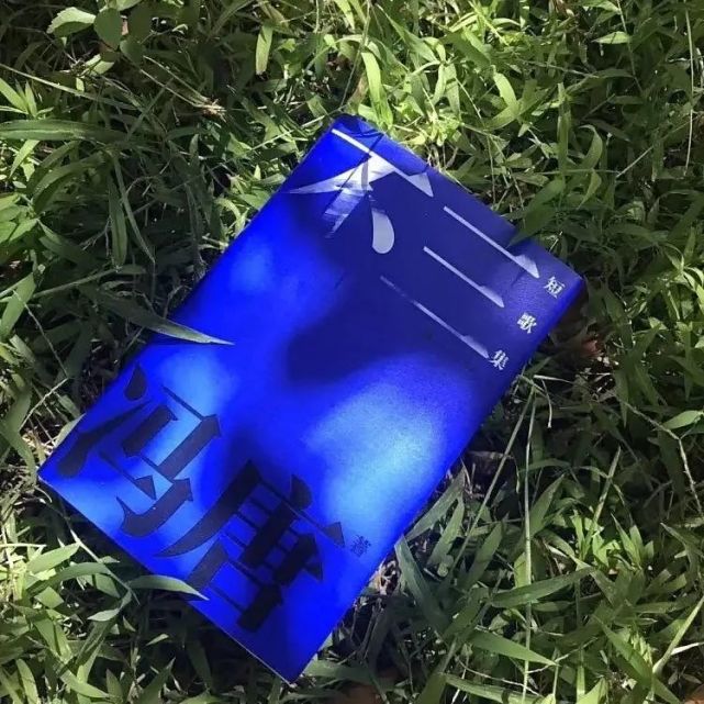 冯唐短歌集 不三 我想玩会儿你的头发 冯唐