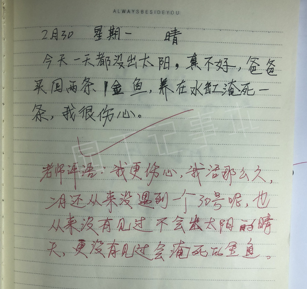 小学生造句太有才,女老师笑红了耳朵,妈妈把作