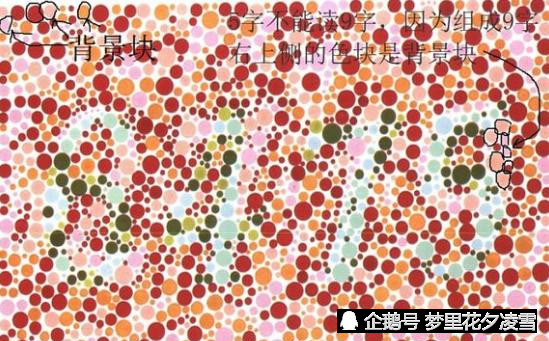 看图技巧 解密色盲检测图 让世界不再有色盲
