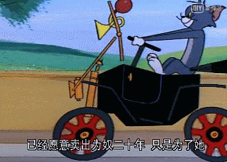 对相爱相杀的cp永远留给了我们……|杰瑞|汤姆|白猫|斯派克|猫和老鼠