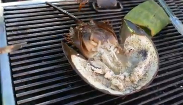 烤王八里面长这样,号称活化石的蓝血动物吃