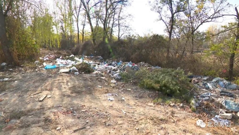 面对农村人居环境问题,这个街道迅速整改!