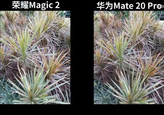 同為三攝,mate20和magic2誰的畫質更好?結果挺意外