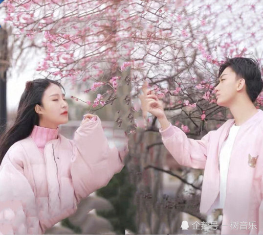 摆神龙套,猫妹包十辆豪车接送,网友:没钱是假的