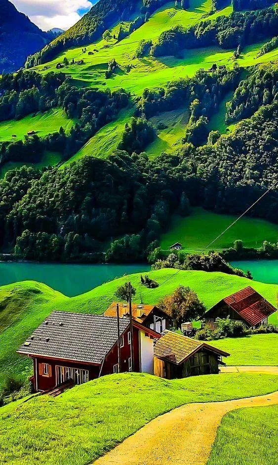 85.最后赠你吉祥锦鲤,愿见者皆有好运!