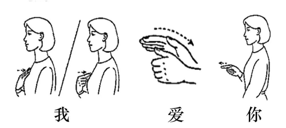 看了这张手语示范图
