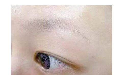 面相小知识:从眉毛就能看出一个人的性格?快来