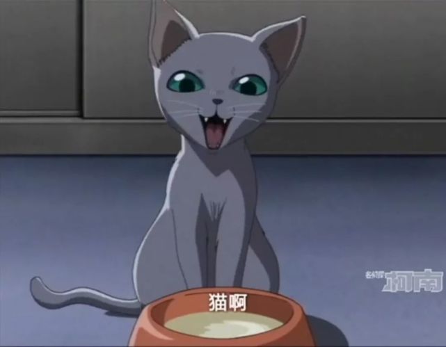 腾讯内容开放平台