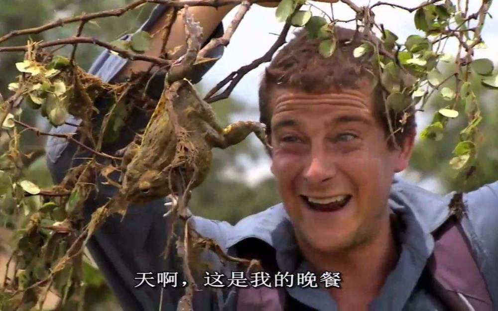 荒野求生,贝爷和迈克·霍克的求生技能,那个更让你印象深刻!