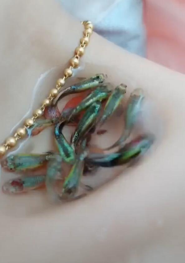 美女锁骨养鱼,11只鱼游来游去,网友一瞧:拍完下锅