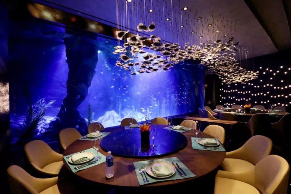 负15层的水下餐厅, 吃着美餐欣赏五彩斑斓的海底世界.
