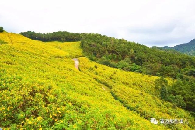 夜豐頌府(mae hong son)位於泰國西北部的泰緬邊境,境內山巒密佈,林木