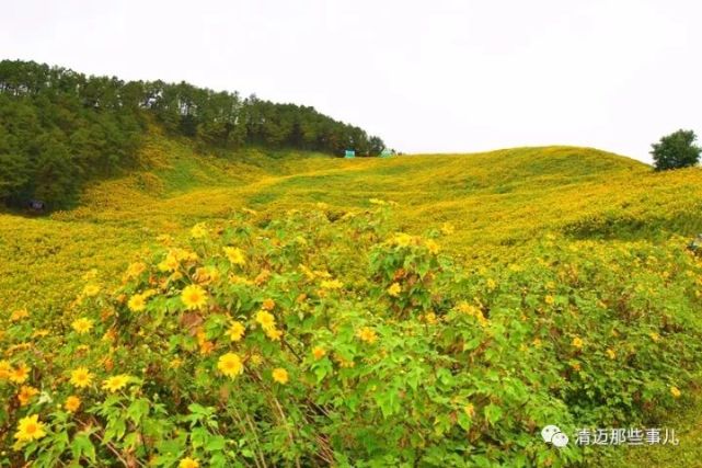 夜豐頌府(mae hong son)位於泰國西北部的泰緬邊境,境內山巒密佈,林木