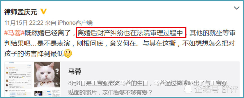 馬蓉炮轟王寶強的背後目的，被律師們一語道破真相(組圖) 娛樂 第9張