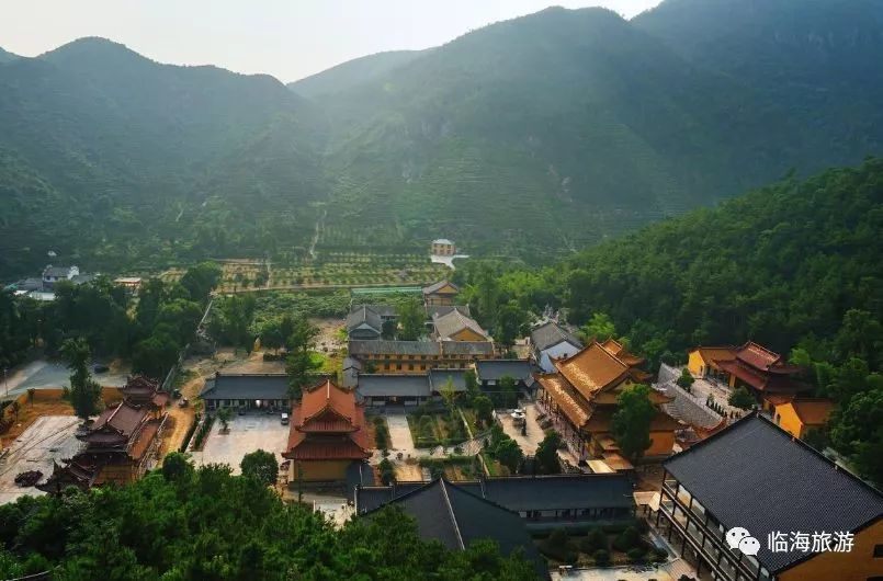 涌泉蜜橘进入了最好吃的时间点约约约