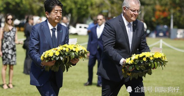 安倍访澳时到日军空袭遇难者纪念碑前致哀一个细节体现差别