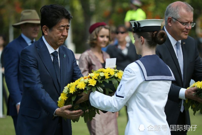 安倍访澳时到日军空袭遇难者纪念碑前致哀一个细节体现差别