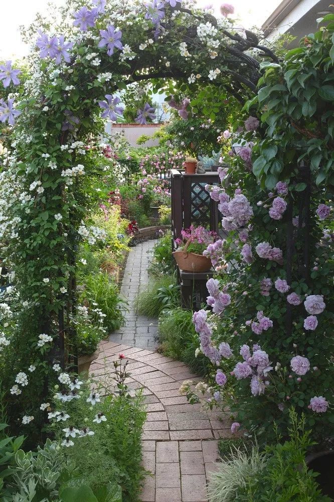 你的院子,怎能少了精致的花园小径_腾讯新闻