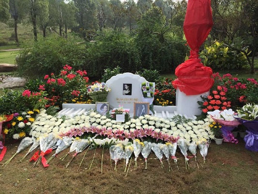 清明节乔任梁豪华墓地布满鲜花!网友:多想想牺牲的扑火英雄吧