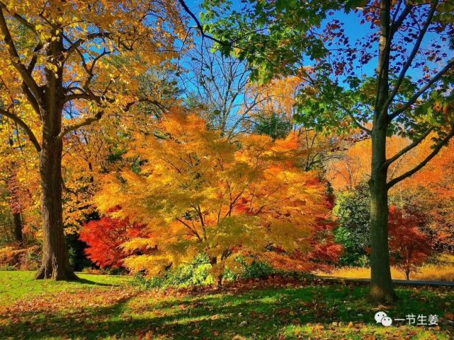 嗜铬细胞瘤这种罕见的肿瘤百万人才一例