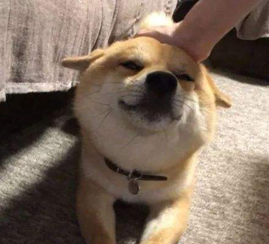 狗狗最讨厌主人做这4件事,你做过几件?