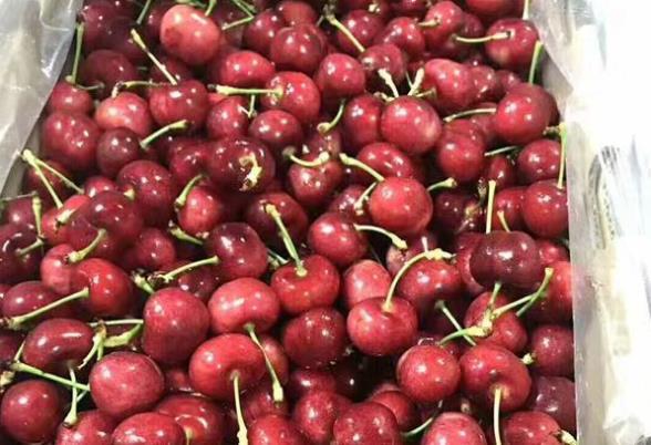 郑州首条经非洲至南美洲货运航线首航 百吨南