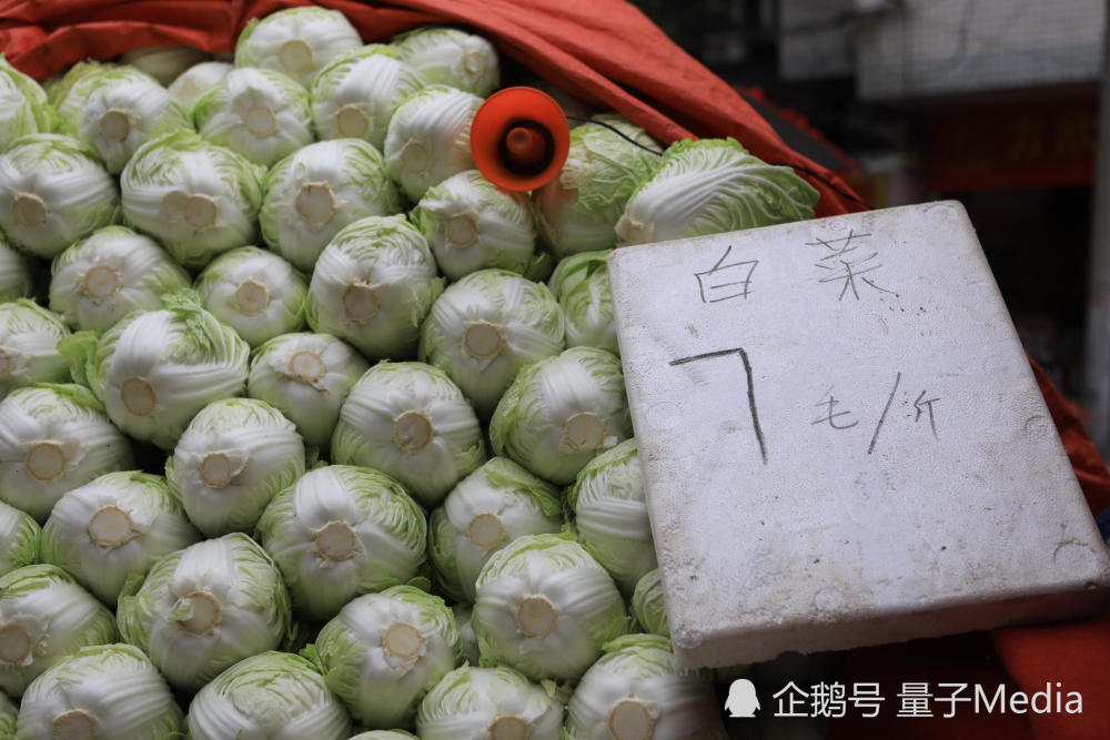 西安市民抢购大白菜 7毛一斤真正的白菜价